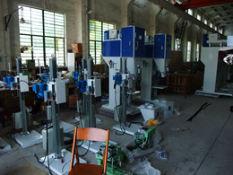 Scale Plant